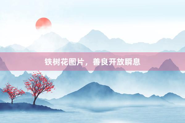 铁树花图片，善良开放瞬息